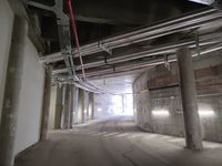 Tuber&iacute;as Galer&iacute;a